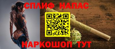 МДПВ Новозыбков