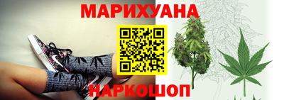 МДПВ Новозыбков