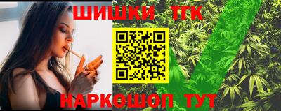 МДПВ Новозыбков