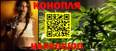 МДПВ Новозыбков