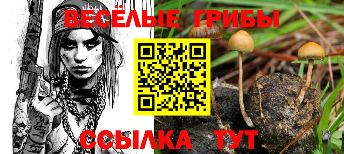 Галлюциногенные грибы мухоморы Арзамас