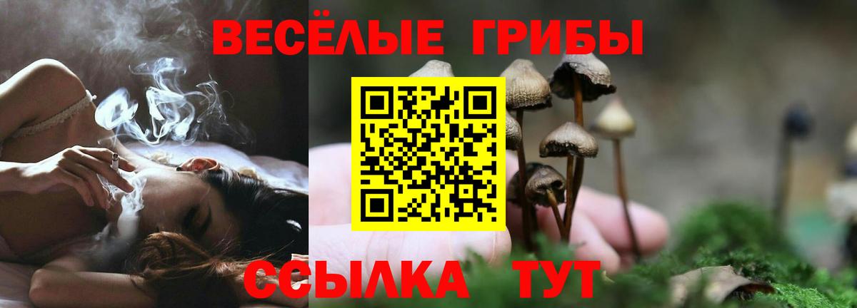 Арзамас  Галлюциногенные грибы ЛСД  Вход с VPN 